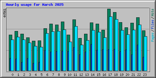 Hourly usage for March 2025