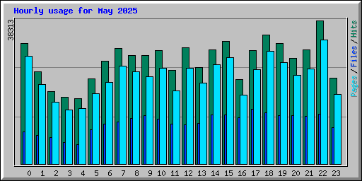 Hourly usage for May 2025